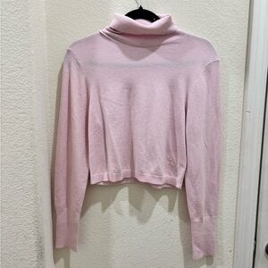 Pink Turtleneck Sweater from Express
